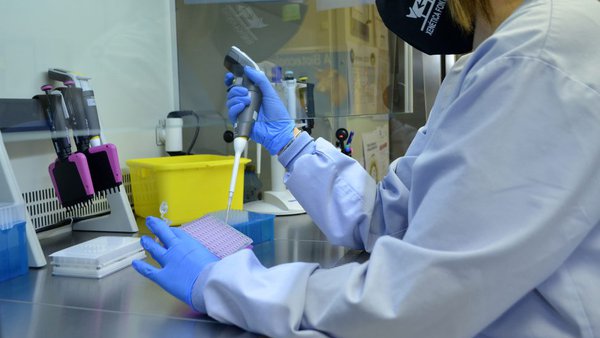 Xenética Fontao producirá en exclusiva semen sexado en España