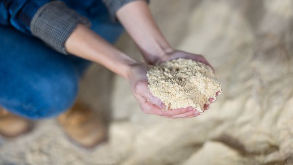 Galicia, líder nacional en la producción de piensos de vacuno con 1,4 millones de toneladas al año