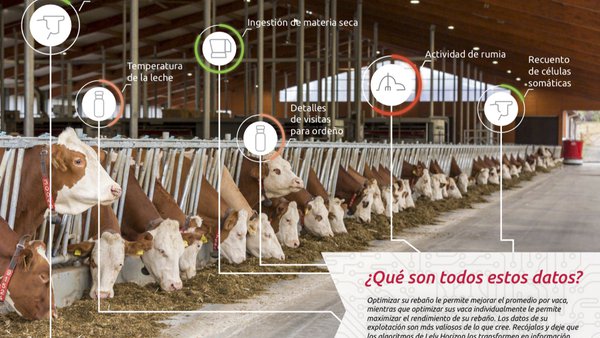 El Lely Horizon, la mejor herramienta para el funcionamiento del Vector