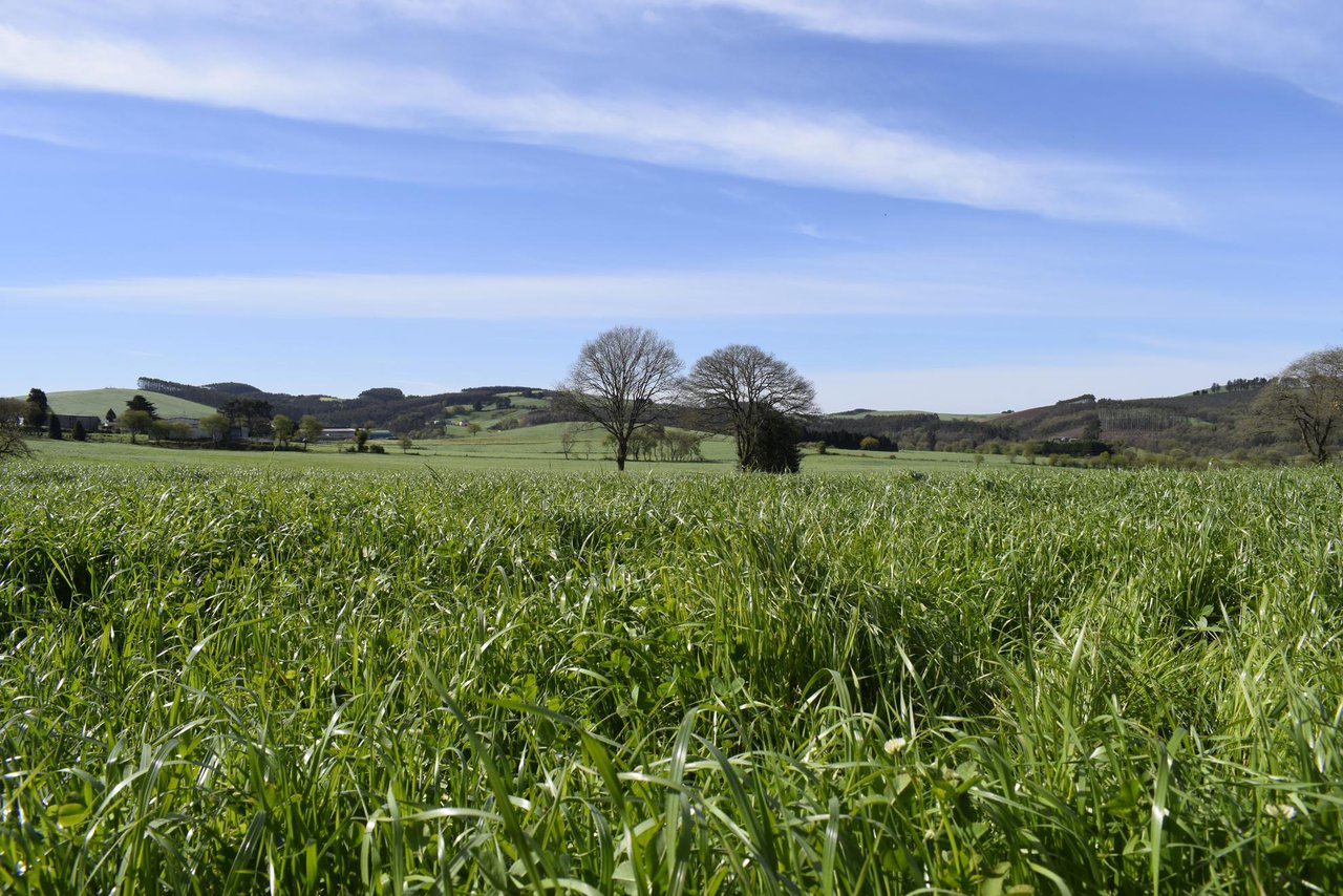 El 15 de noviembre finaliza el plazo para aplicar el 5 % de bonificación en el seguro de cultivos herbáceos