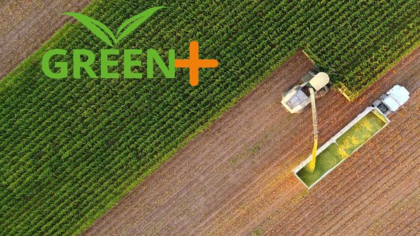 Green+ ofrece solucións á produción e conservación do millo ensilado