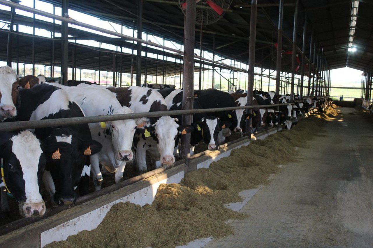 Se amplía el plazo de solicitud de las ayudas para la incorporación de jóvenes al agro y la creación de pequeñas explotaciones