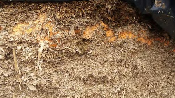 Control de la fermentación en los ensilados de hierba