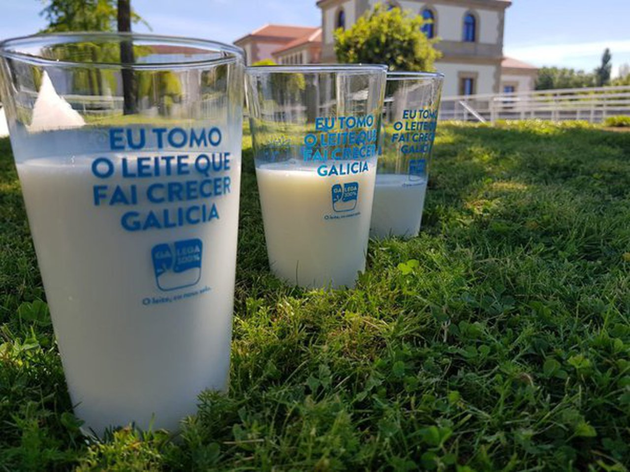 La Xunta destina 1,2 millones de euros a ayudas para suministrar fruta fresca, castañas y leche a centros escolares