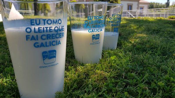 La Xunta destina 1,2 millones de euros a ayudas para suministrar fruta fresca, castañas y leche a centros escolares