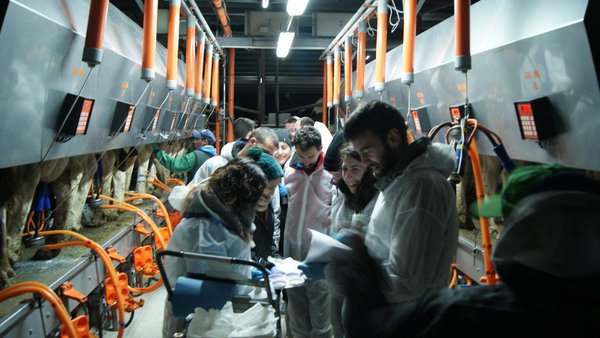 Abierto el plazo de inscripción para la décima edición del Máster Propio en Producción de Leche