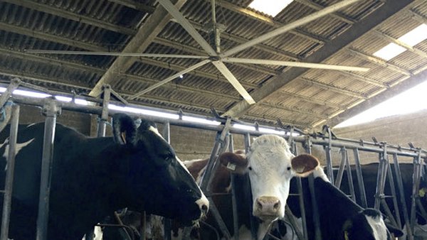 MaxXfan presenta os ventiladores HVLS