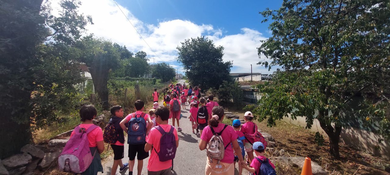 La ganadería SAT O Palomar organiza una serie de visitas para que los más pequeños conozcan el funcionamiento de las granjas