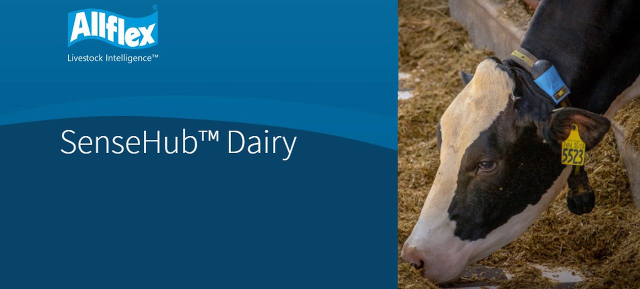 MSD Animal Health presenta la próxima generación del software de monitorización SenseHub®