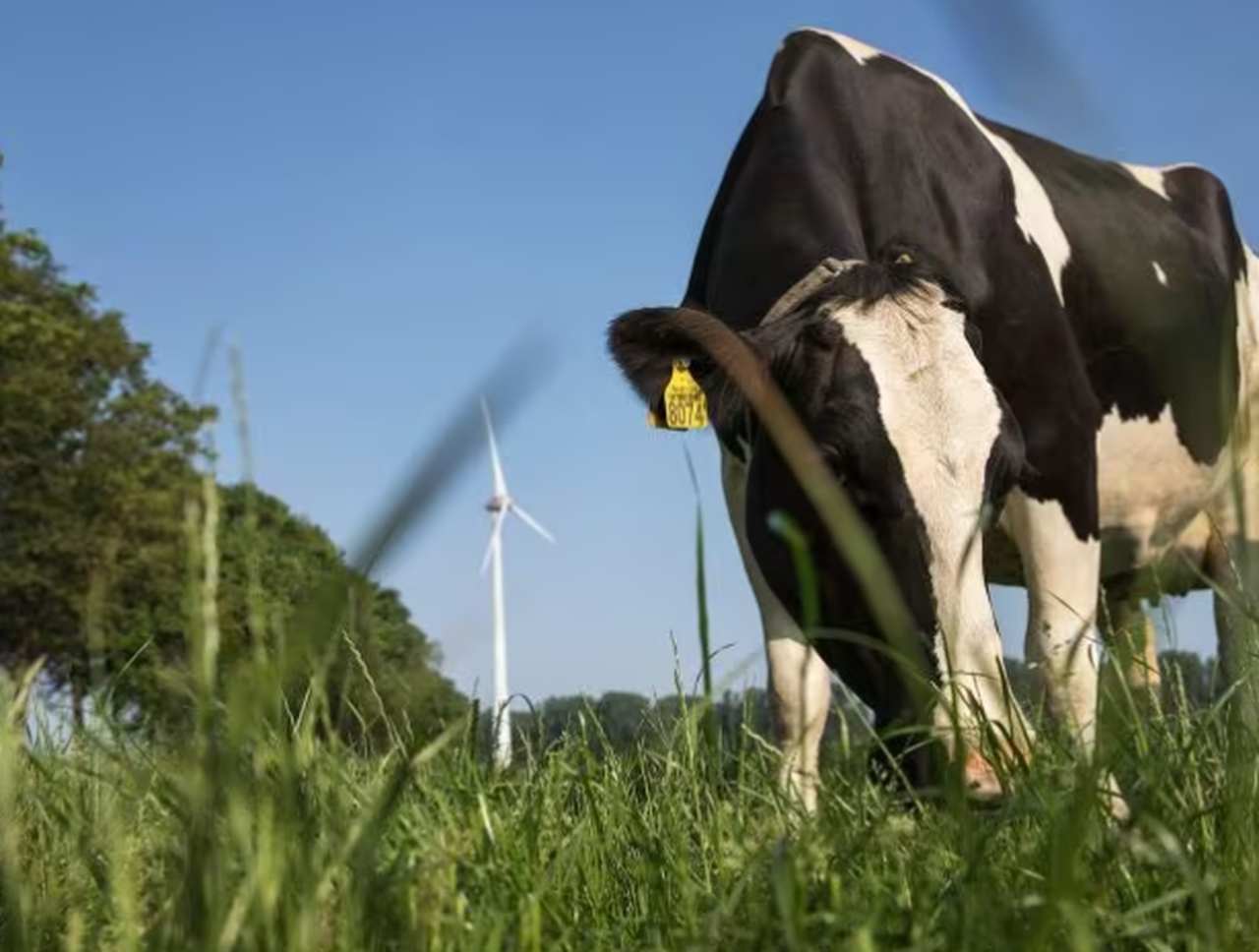 FrieslandCampina mantiene en el mes de julio los precios de la leche