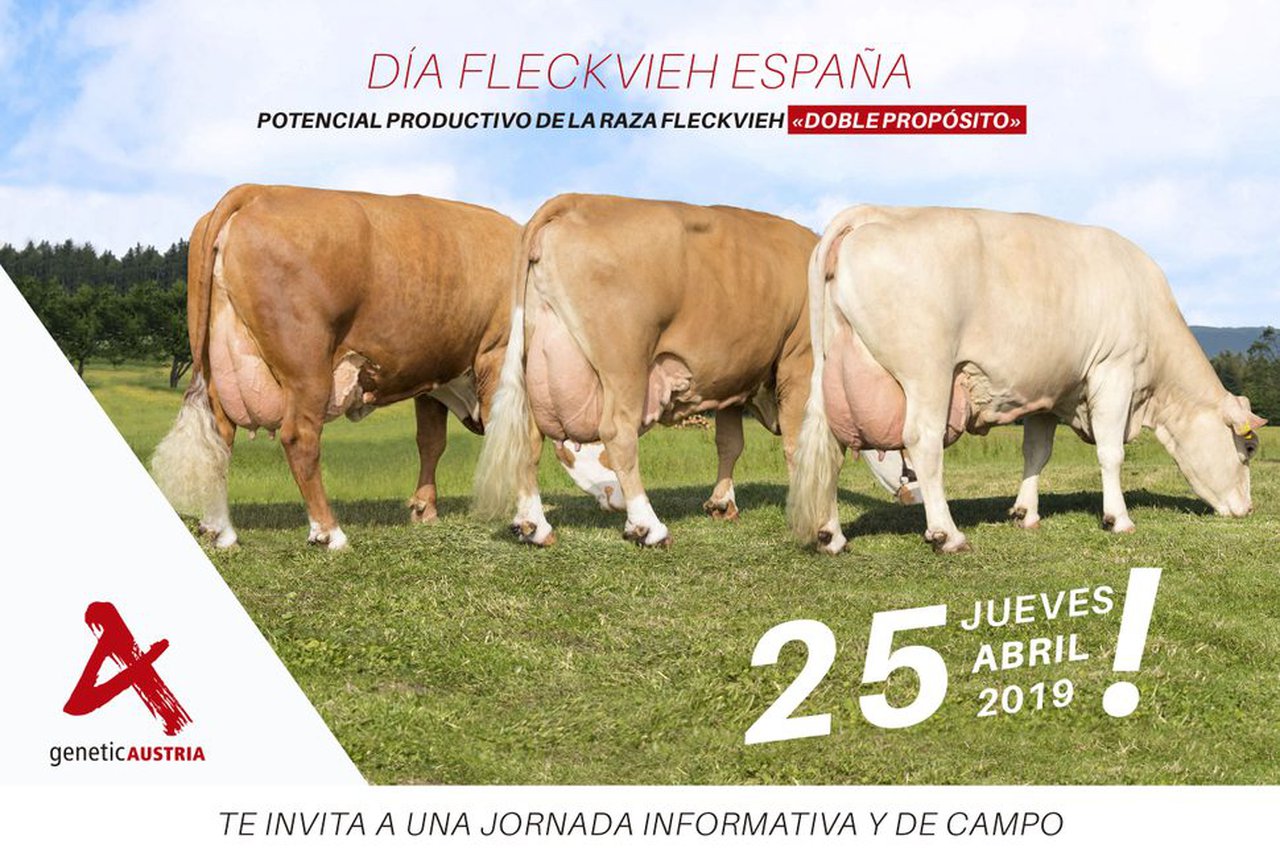 Xornada Fleckvieh en Toledo