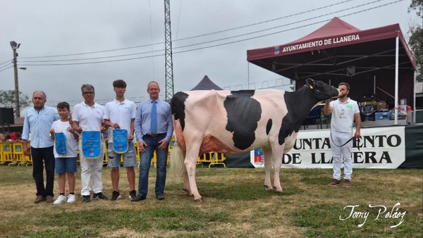 Badiola Holstein gana el concurso frisón de Llanera