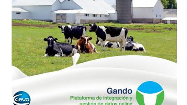 Gando, un novo paso na visualización de datos en explotacións de vacún leiteiro