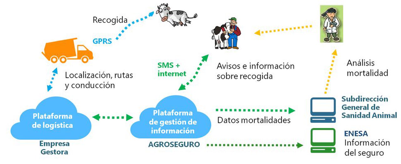 Nace la Plataforma de Vigilancia Sindrómica Veterinaria
