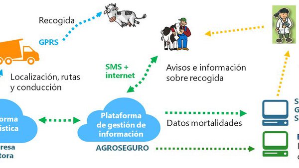 Nace la Plataforma de Vigilancia Sindrómica Veterinaria