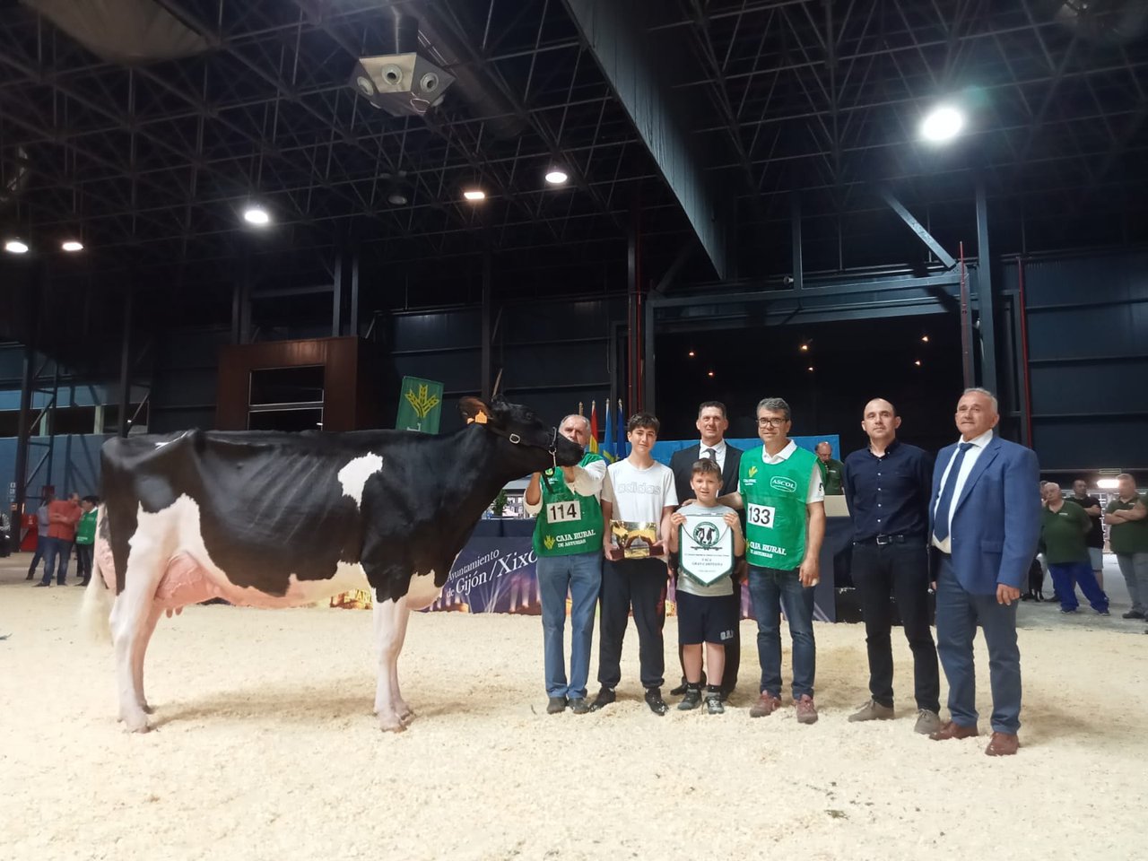 ¡Victoria para Badiola Crushabull Kinina en el Regional de Asturias!