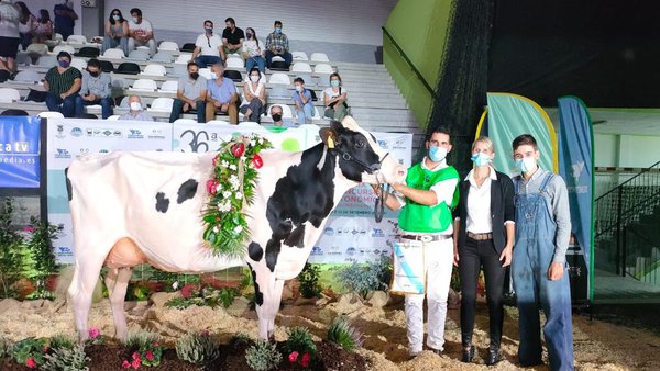 Emocionante triunfo para Rey 814 Beemer Yuri en el regional gallego