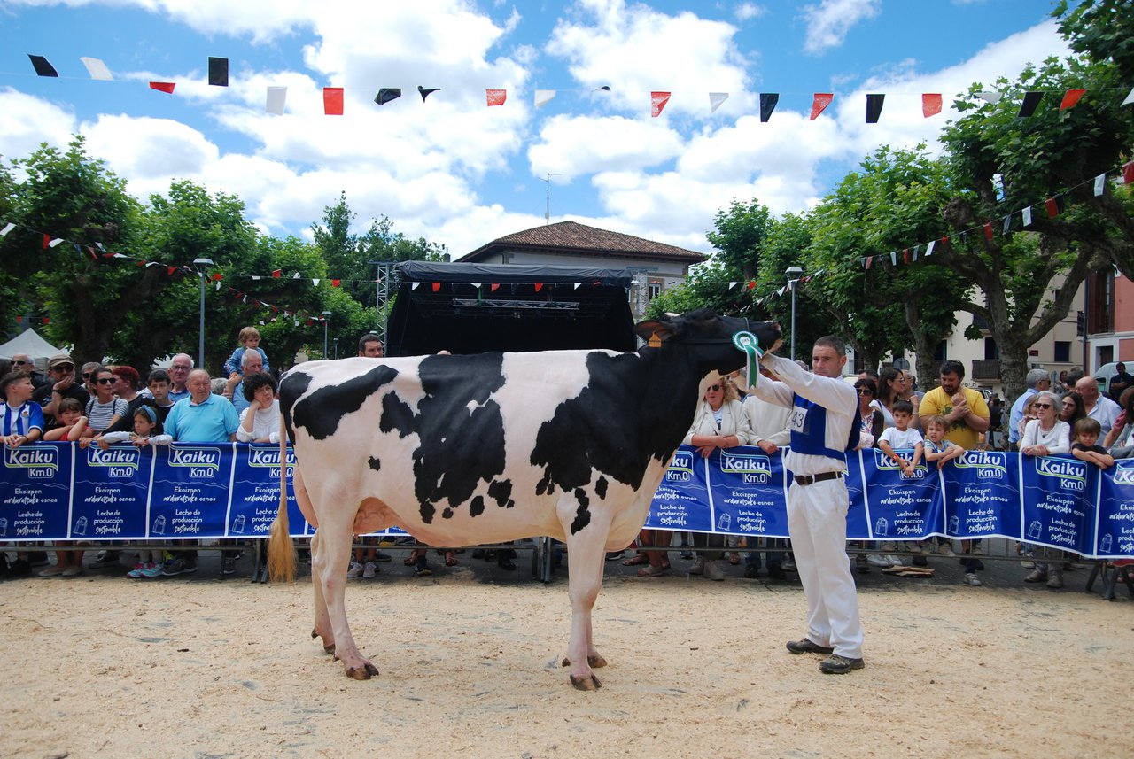 Garaia, hija de Doorman, gran campeona de Irún