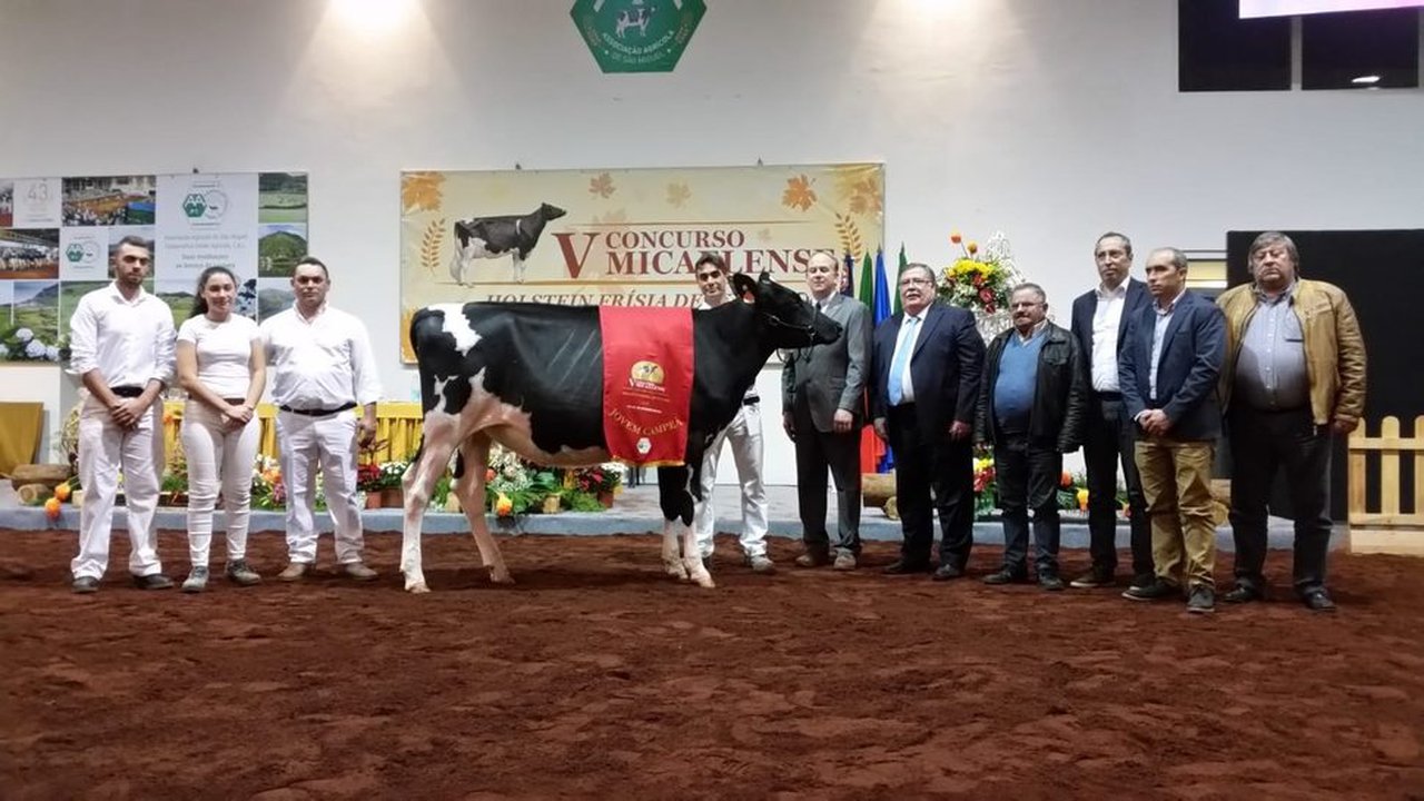 ORP Doorman Natacha se proclama novilla gran campeona