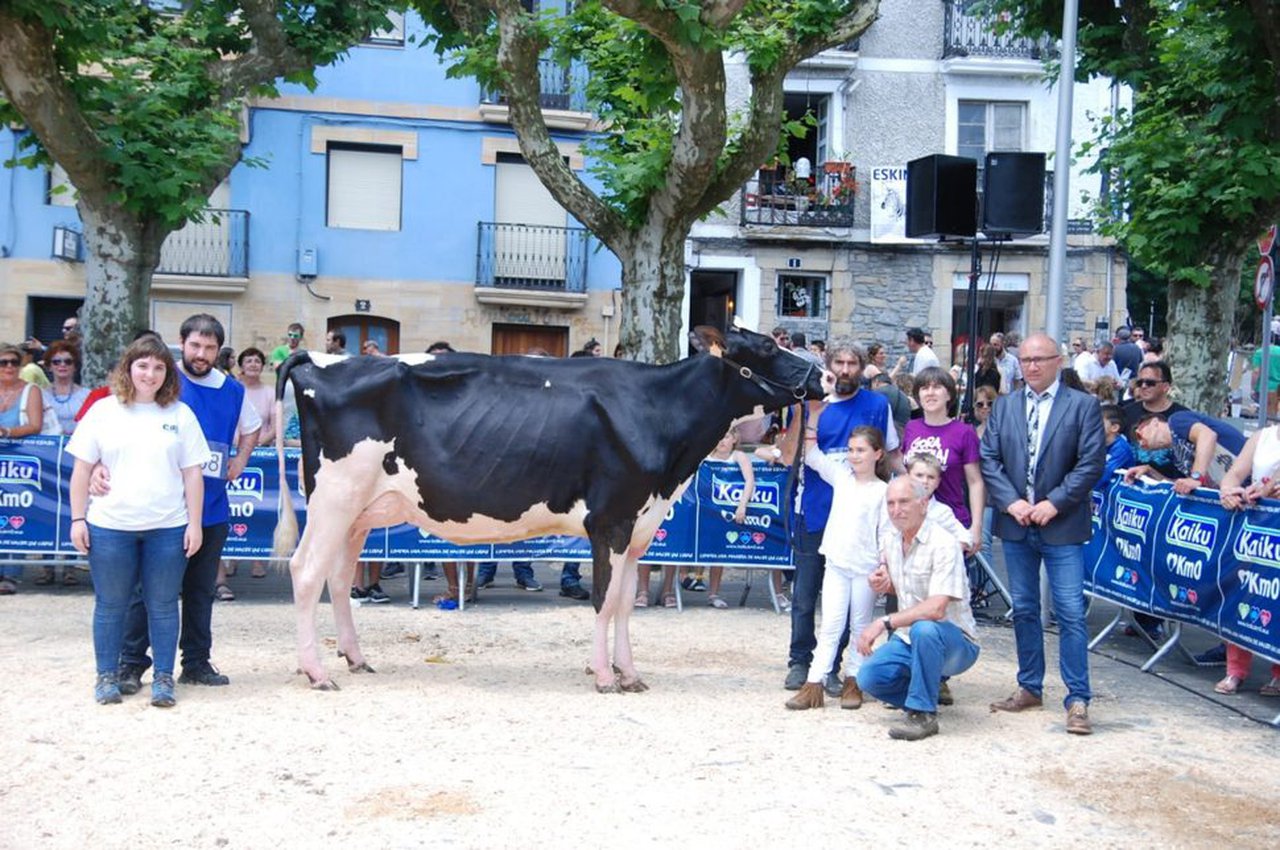 Ondazarte Sid Tximistarri, gran campeona del Concurso de Irún