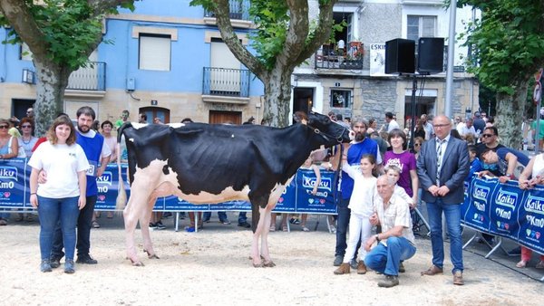 Ondazarte Sid Tximistarri, gran campeona del Concurso de Irún