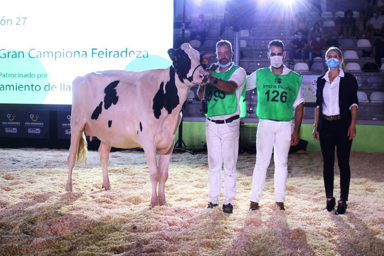 Vaca gran campeona de la XXXVI Feiradeza