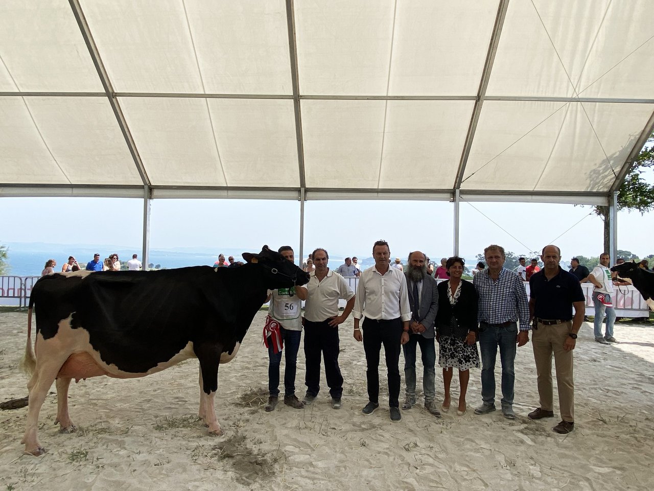 Molino Ruedas York Windbrook conquista el primer Expogan en Santander