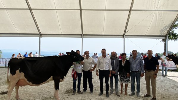 Molino Ruedas York Windbrook conquista el primer Expogan en Santander