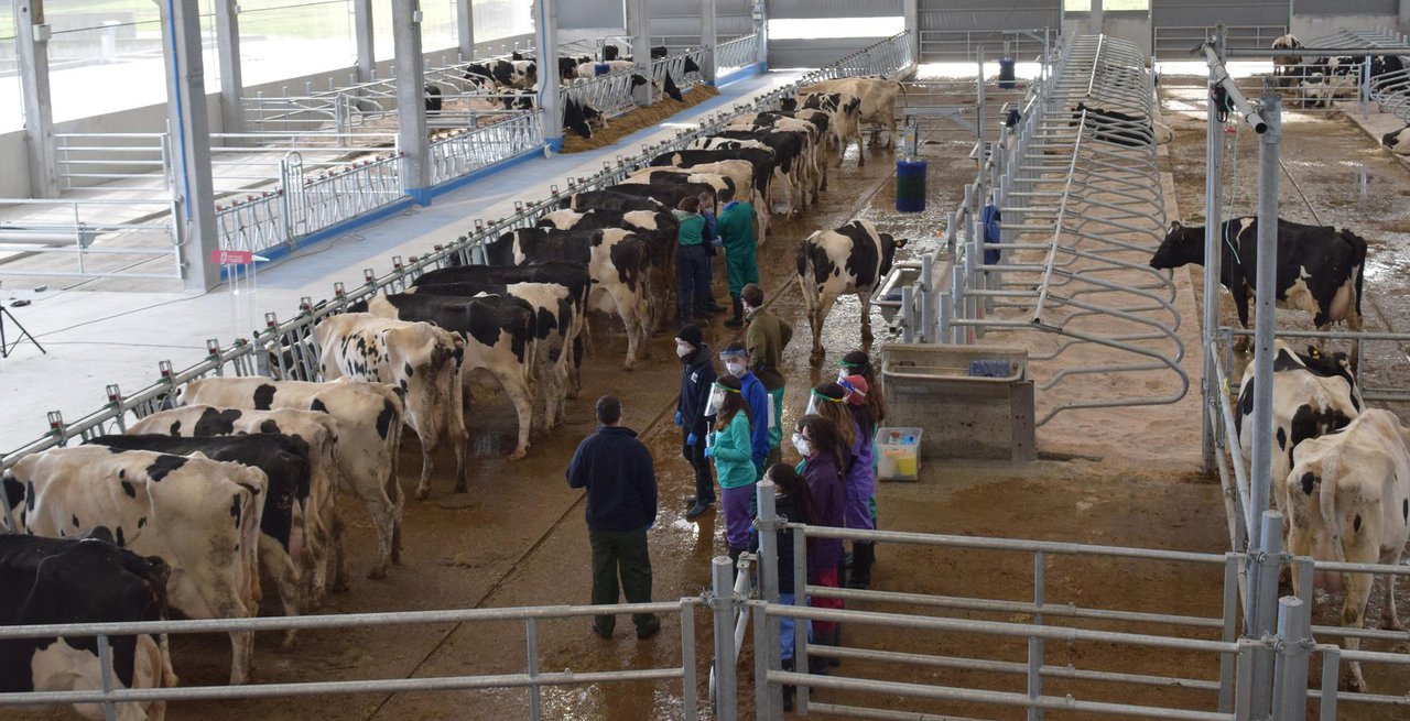 La práctica, una dimensión esencial para la Facultad de Veterinaria de Lugo