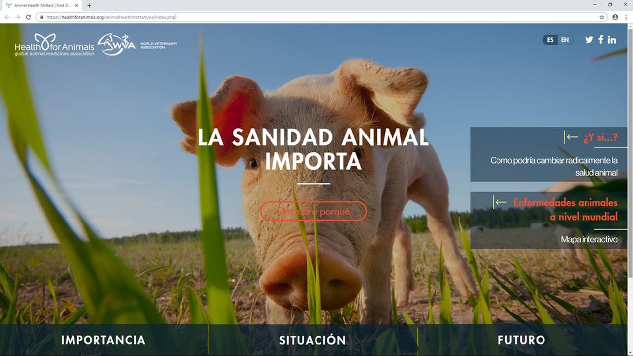 Nuevo portal en español sobre salud veterinaria