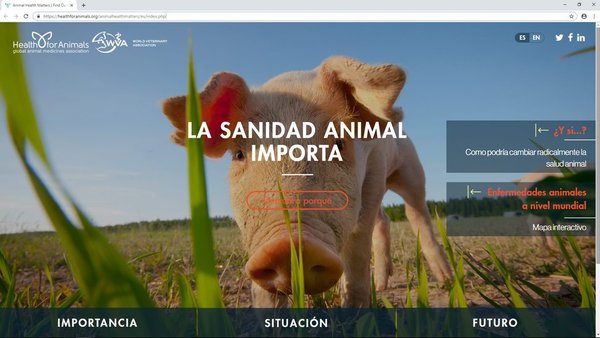 Novo portal en español sobre saúde veterinaria