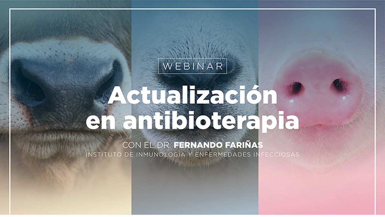 Virbac ofrece este xoves un webinario sobre antibioterapia