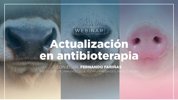 Virbac ofrece este xoves un webinario sobre antibioterapia