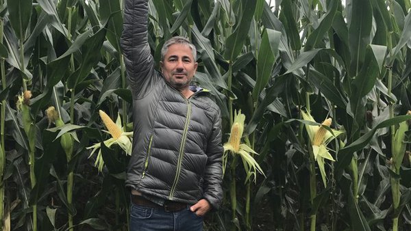 Nutrición integral do millo forraxeiro Agromaster Start Mini + Agroleaf