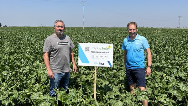 ICL presenta o seu exclusivo fertilizante natural Polysulphate