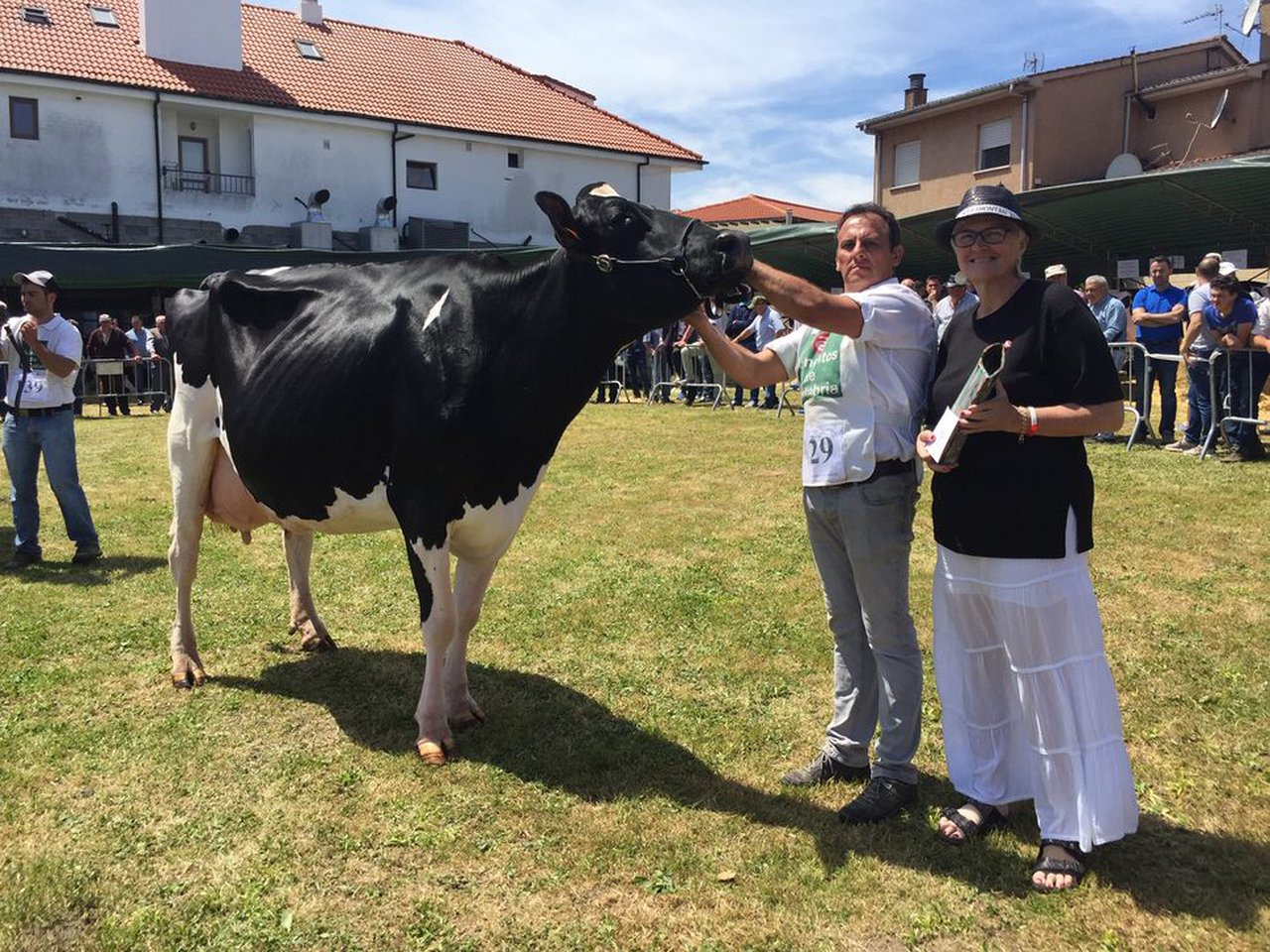 Sarabia Ninfa Delete se proclama vaca gran campeona en Galizano