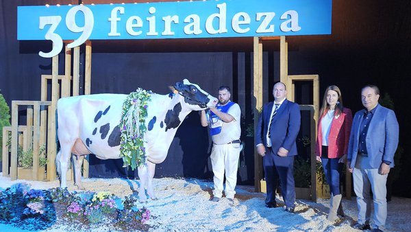Panamá Del L'Orangerie triunfa en Feiradeza y Rey 1217 Haxl Amar se hace con el gran campeonato de terneras y novillas