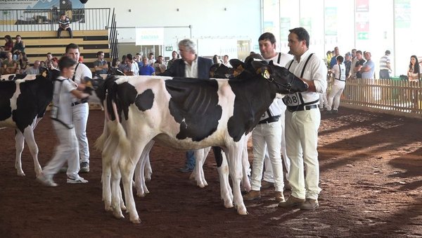 La competición frisona de Las Azores, ¡en vídeo!