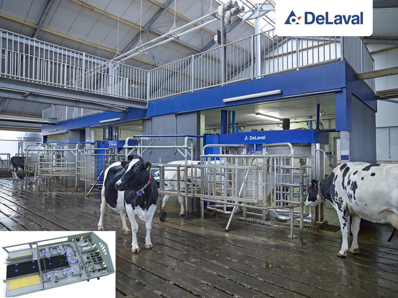 Nuevas posibilidades para las granjas de gran volumen: el ordeño robotizado por lotes de DeLaval VMS