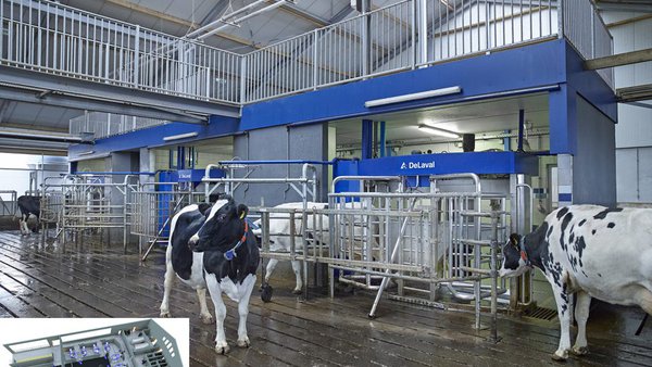 Novas posibilidades para as granxas de gran volume: o muxido robotizado por lotes de DeLaval VMS