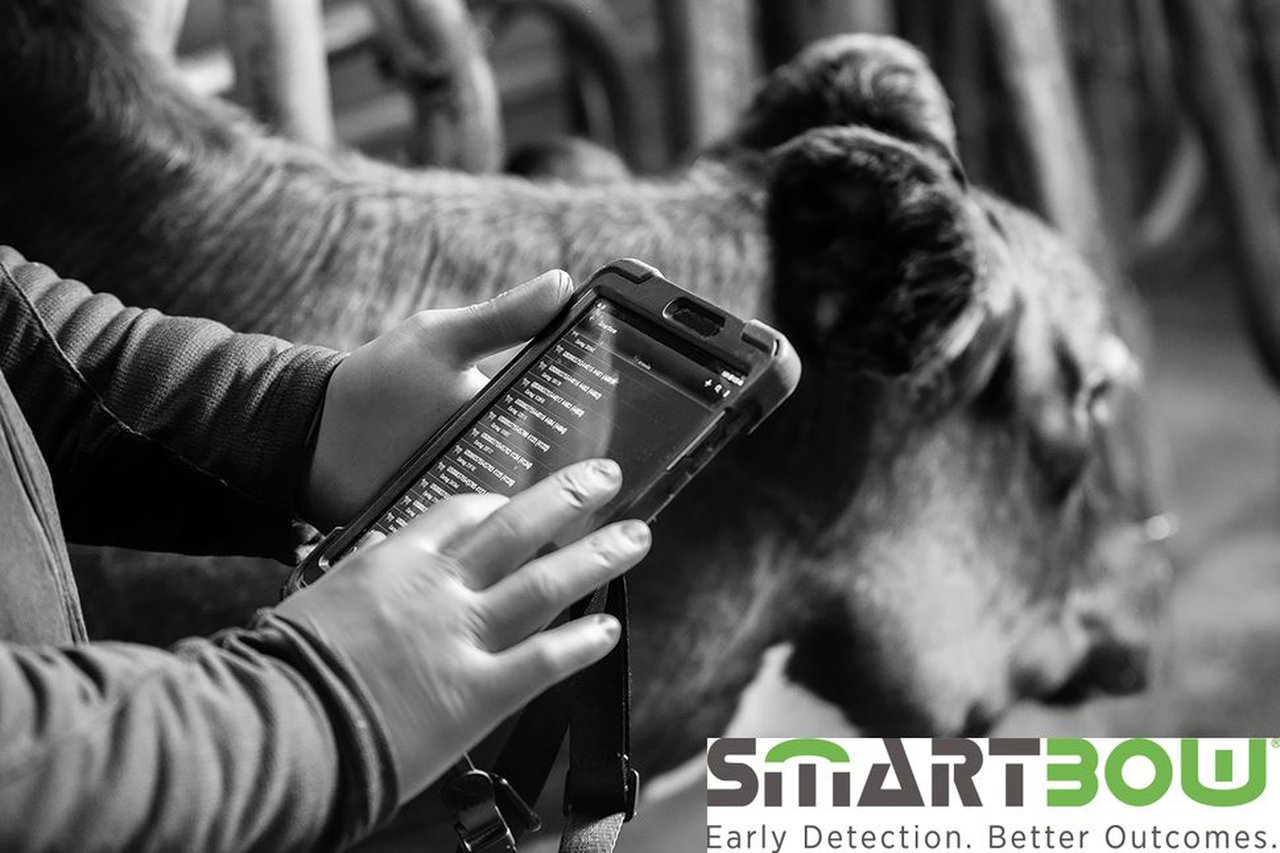 Campaña de Zoetis sobre los beneficios de SmartBow