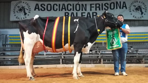 Biniseguí Vell Atwood Fusa vence en Menorca