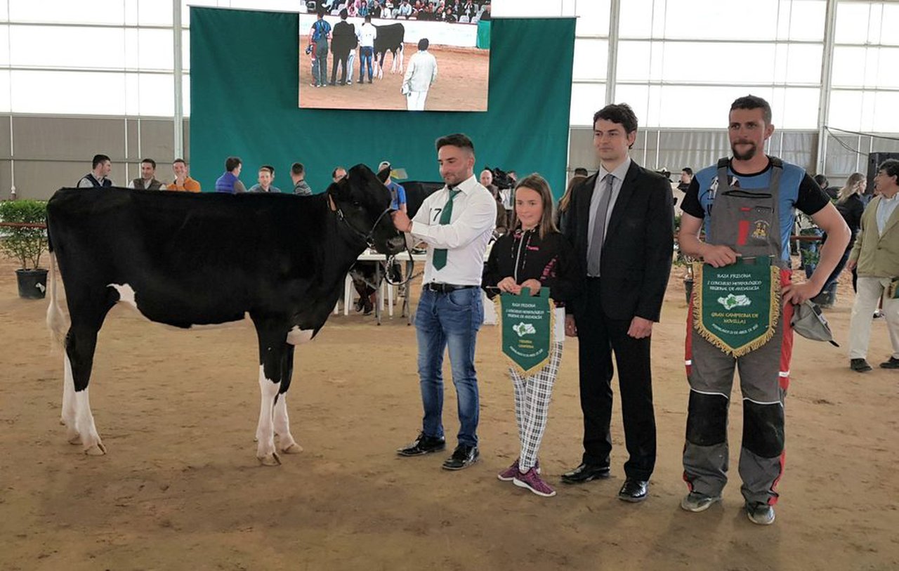 H. Coronel Doberman Tomasa 0470, la mejor novilla de Andalucía