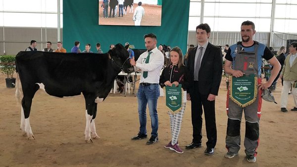 H. Coronel Doberman Tomasa 0470, la mejor novilla de Andalucía
