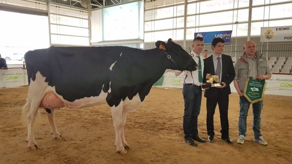 Triunfo de Atalayuela Kampman Reinalda en el Regional de Andalucía
