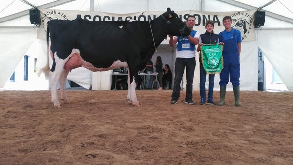 Triunfo de Son Quart Delete Jeyn en Mallorca