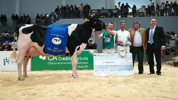 Victoria para Encanto Atwood 420 en Braga