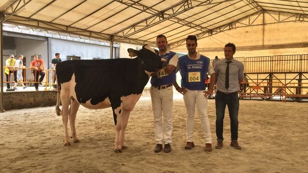 La ganadería Rato recoge el premio de novilla gran campeona en Feiradeza