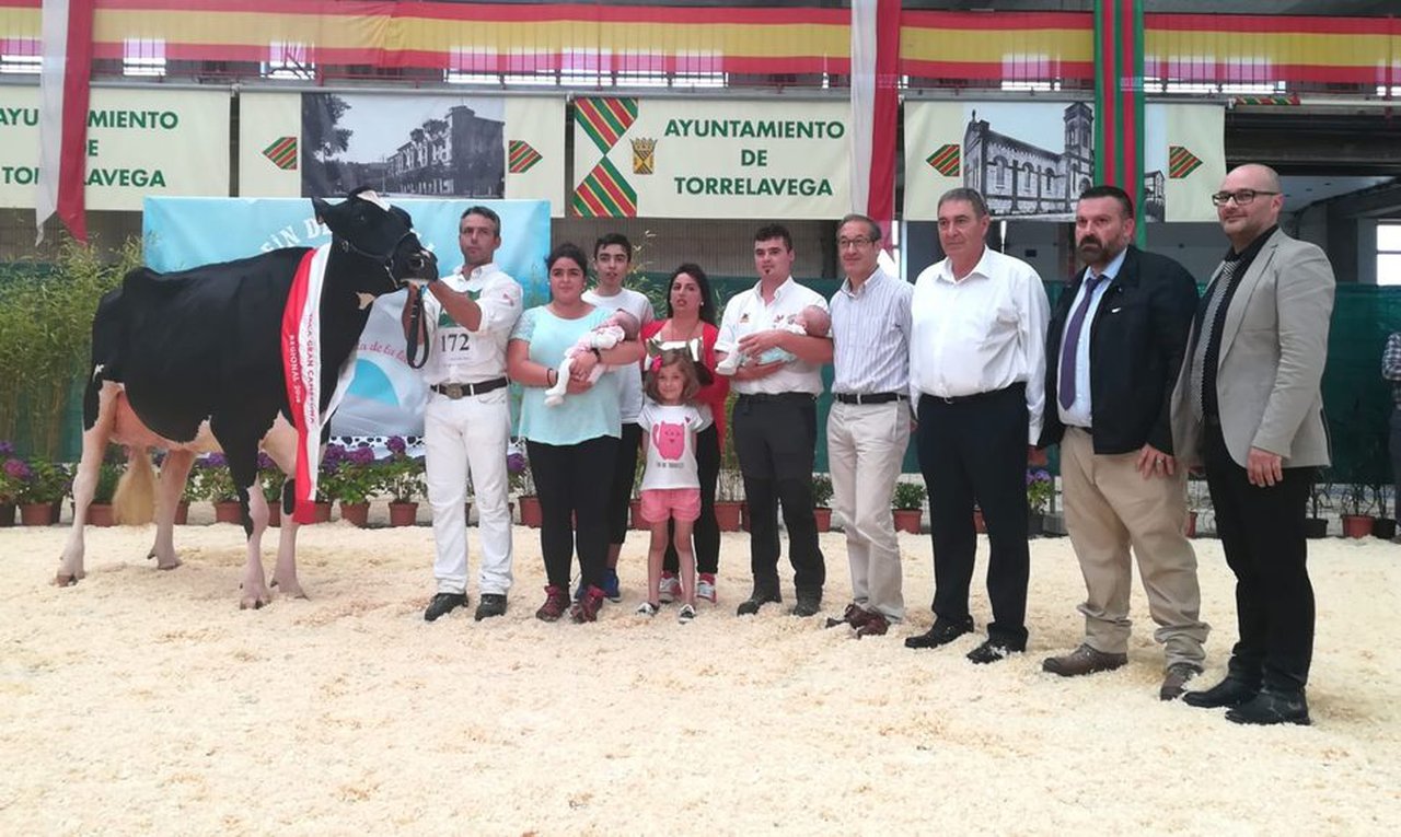 ¡La vaca gran campeona del regional cántabro se llama Llinde Ariel Jordan!
