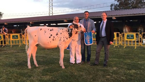 Badiola Emilio Keisi, gran campeona de terneras y novillas